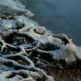 Dscf0031