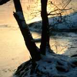 Dscf0037