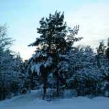 Dscf0061
