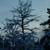 Dscf0068