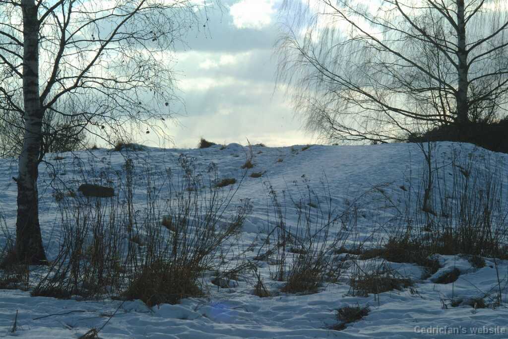 Path