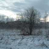 Photos 05 Winter
