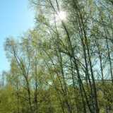 Photos Spring 05 2