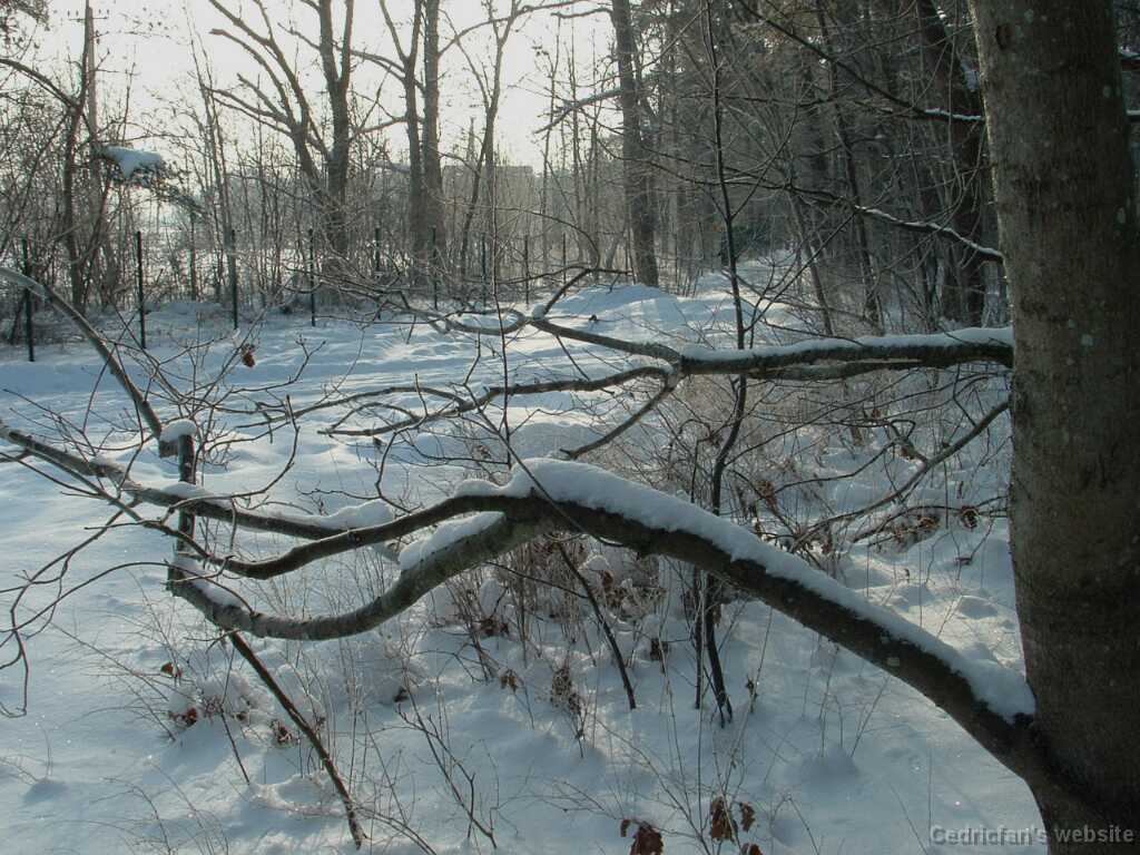 DSCF0026