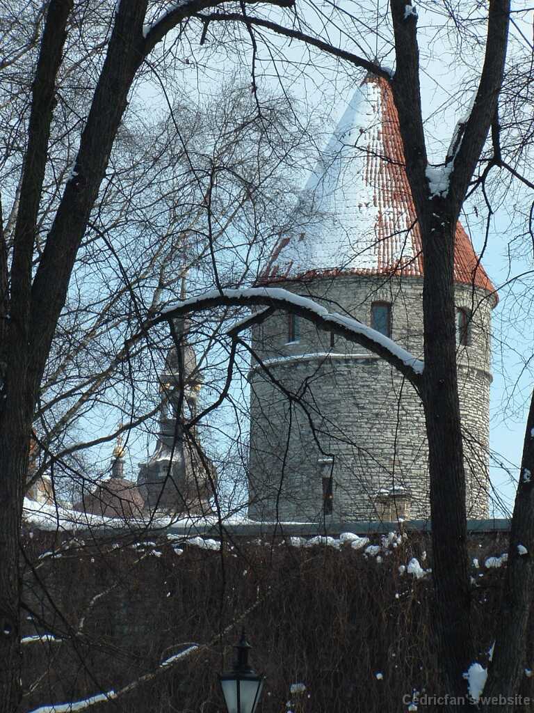 DSCF0044