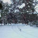 DSCF0016