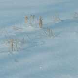 DSCF0029