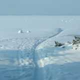 DSCF0031