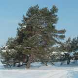 DSCF0035