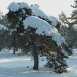 DSCF0037