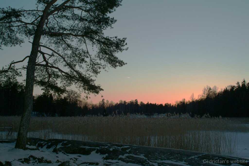 DSCF1732