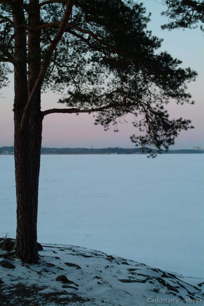 DSCF1737