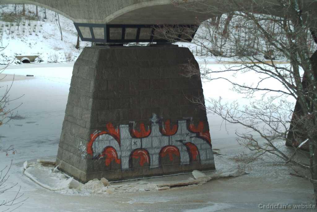 DSCF1752