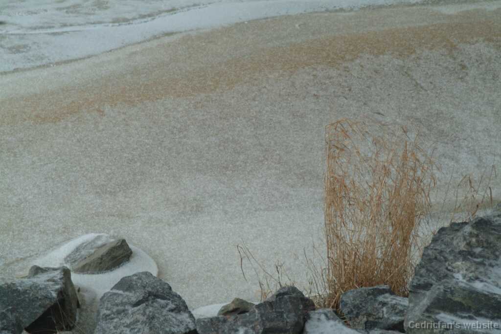 DSCF1758