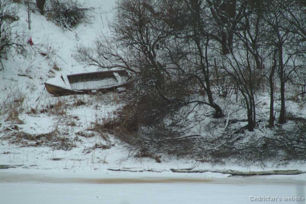 DSCF1766