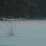 DSCF1710