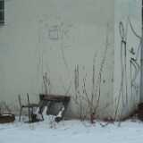 DSCF1761