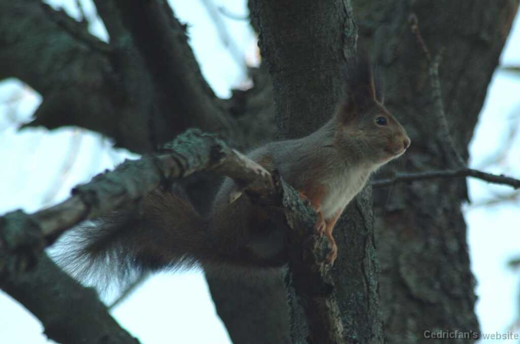 DSCF1572