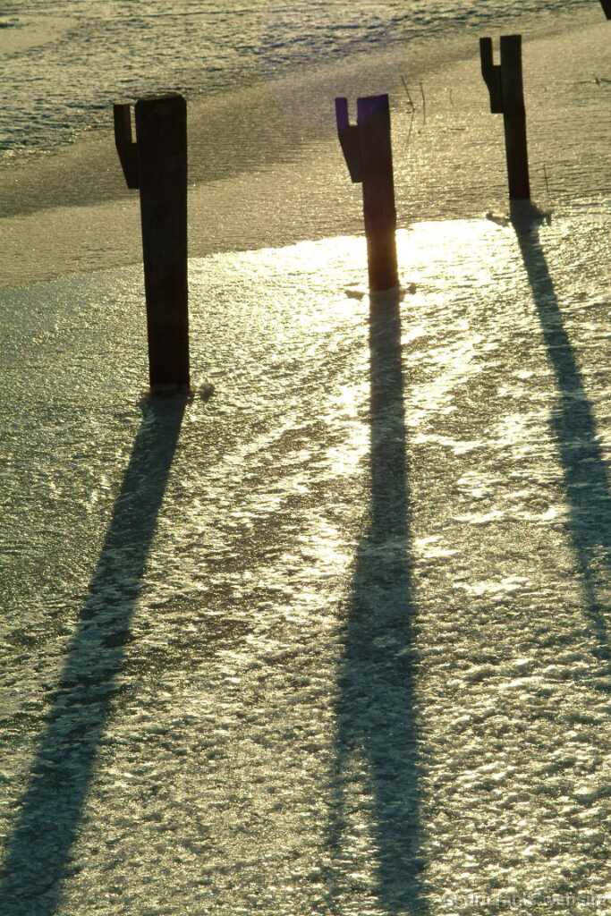 DSCF1580