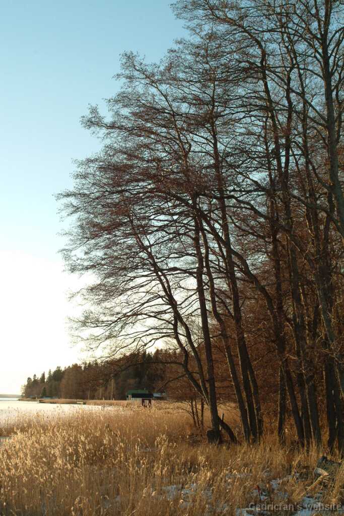 DSCF1587