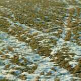 DSCF1576