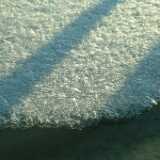 DSCF1579