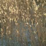 DSCF1590