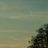 DSCF1595