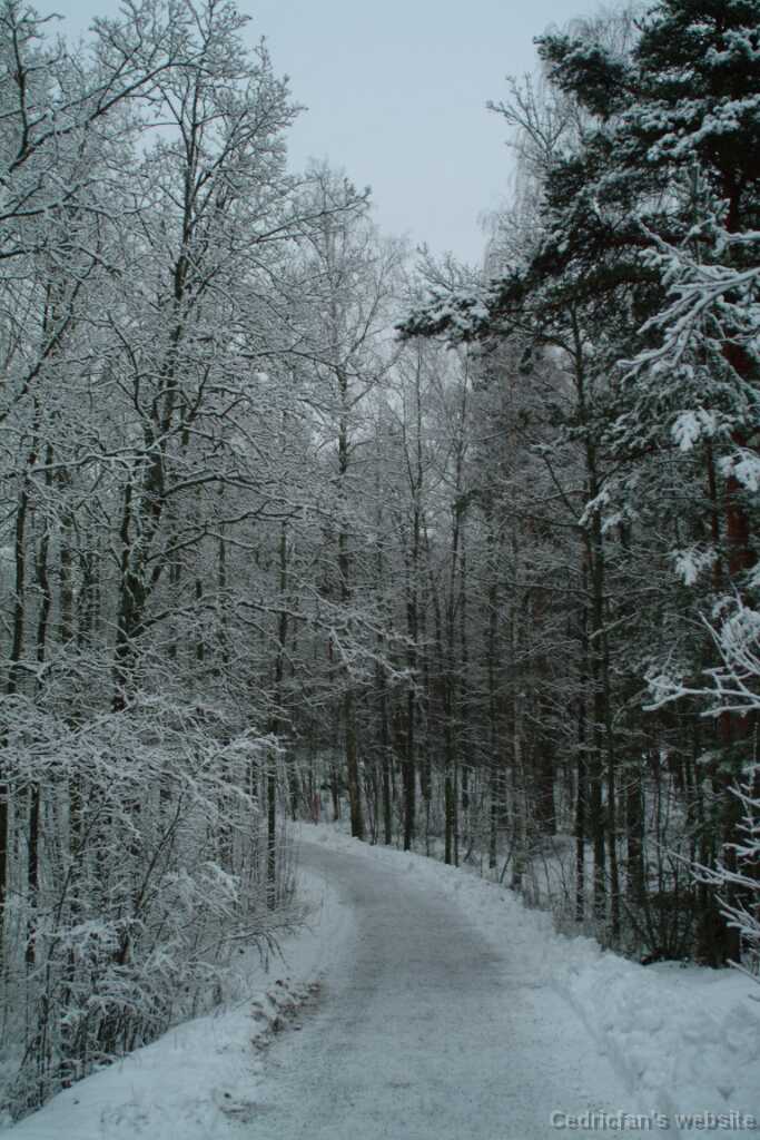 DSCF1275