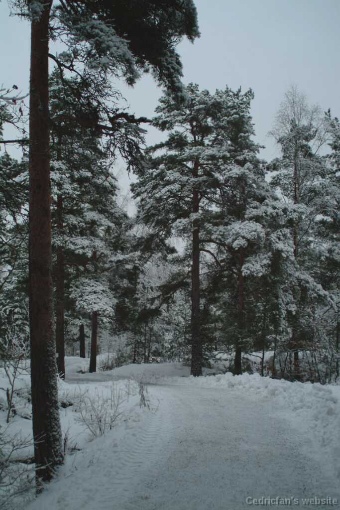 DSCF1276