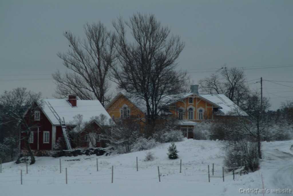 DSCF1295