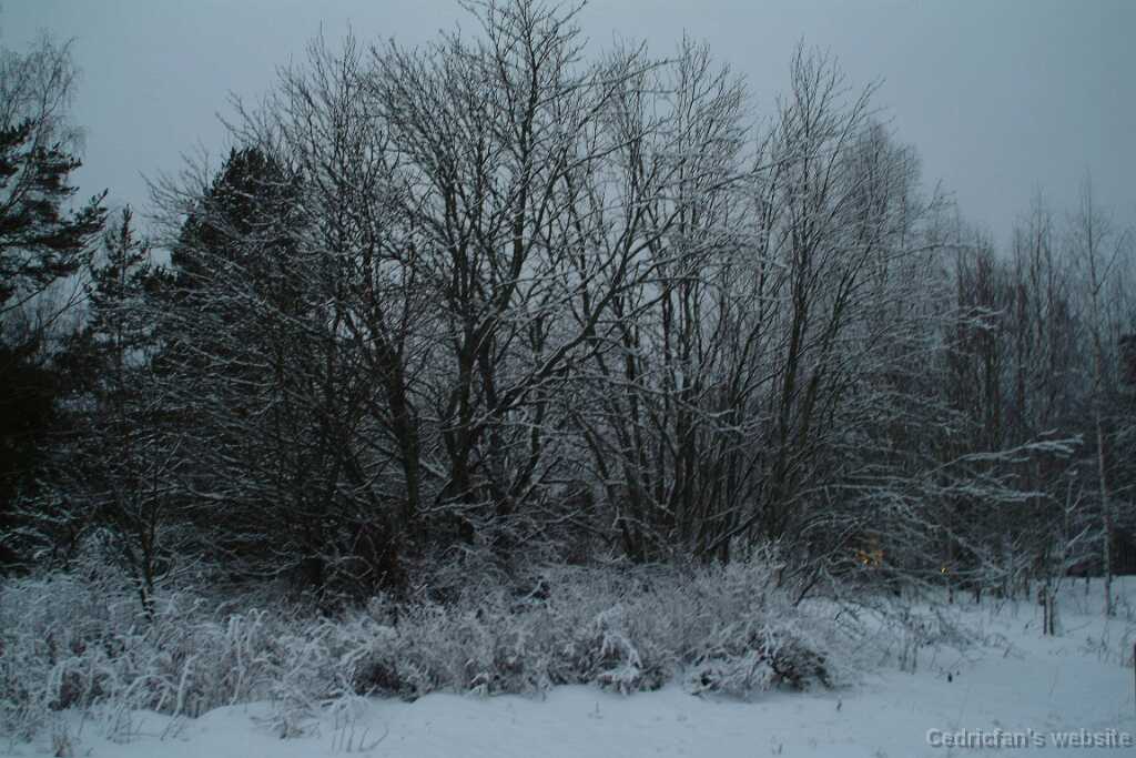 DSCF1307