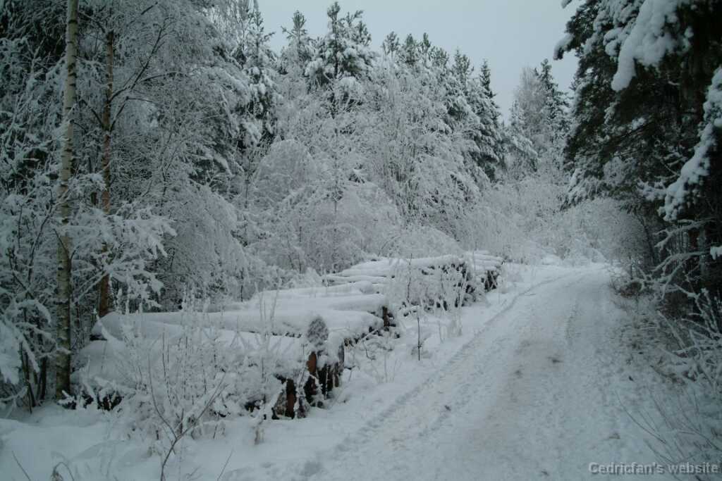 DSCF1337