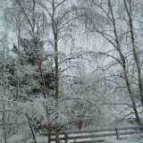 DSCF1261