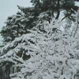 DSCF1264