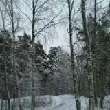 DSCF1270