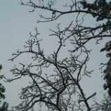 DSCF1277