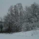 DSCF1281