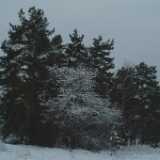 DSCF1305