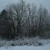 DSCF1307