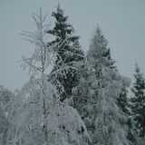 DSCF1332