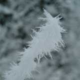 DSCF1333