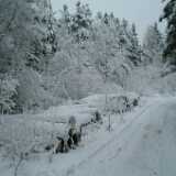 DSCF1337
