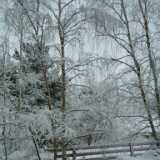 Scenes in January