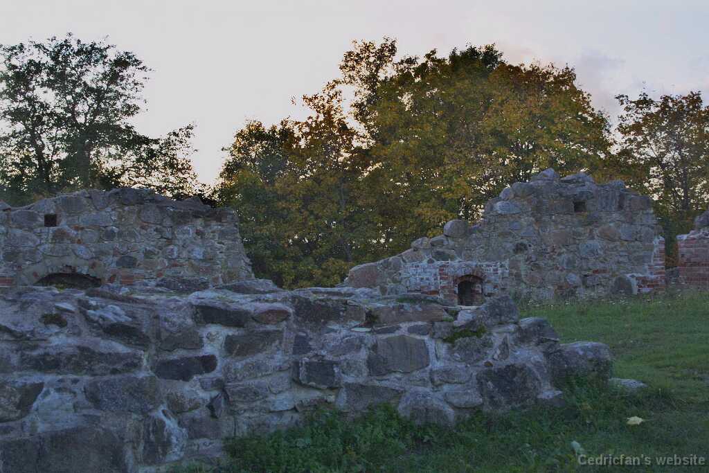 29