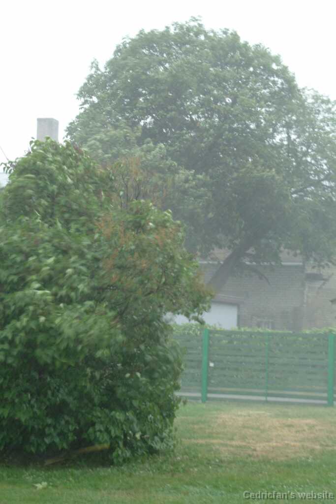 DSCF3168