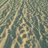 DSCF2592