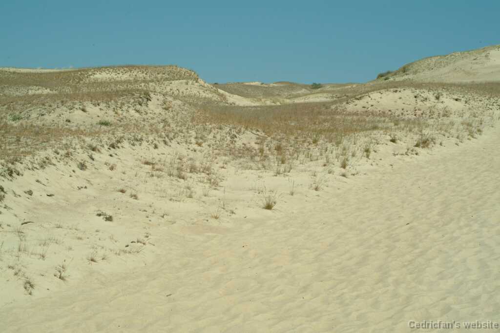 DSCF3063