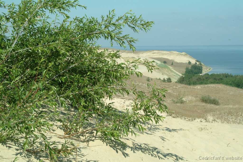 DSCF3093