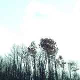 DSCF3115